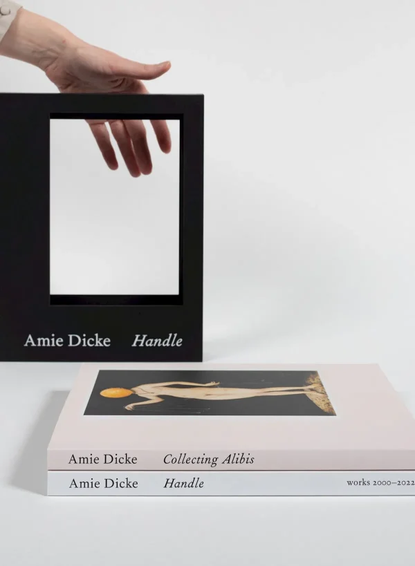 SUSAN BIJL Collecting Alibis< Tijdschriften & Boeken