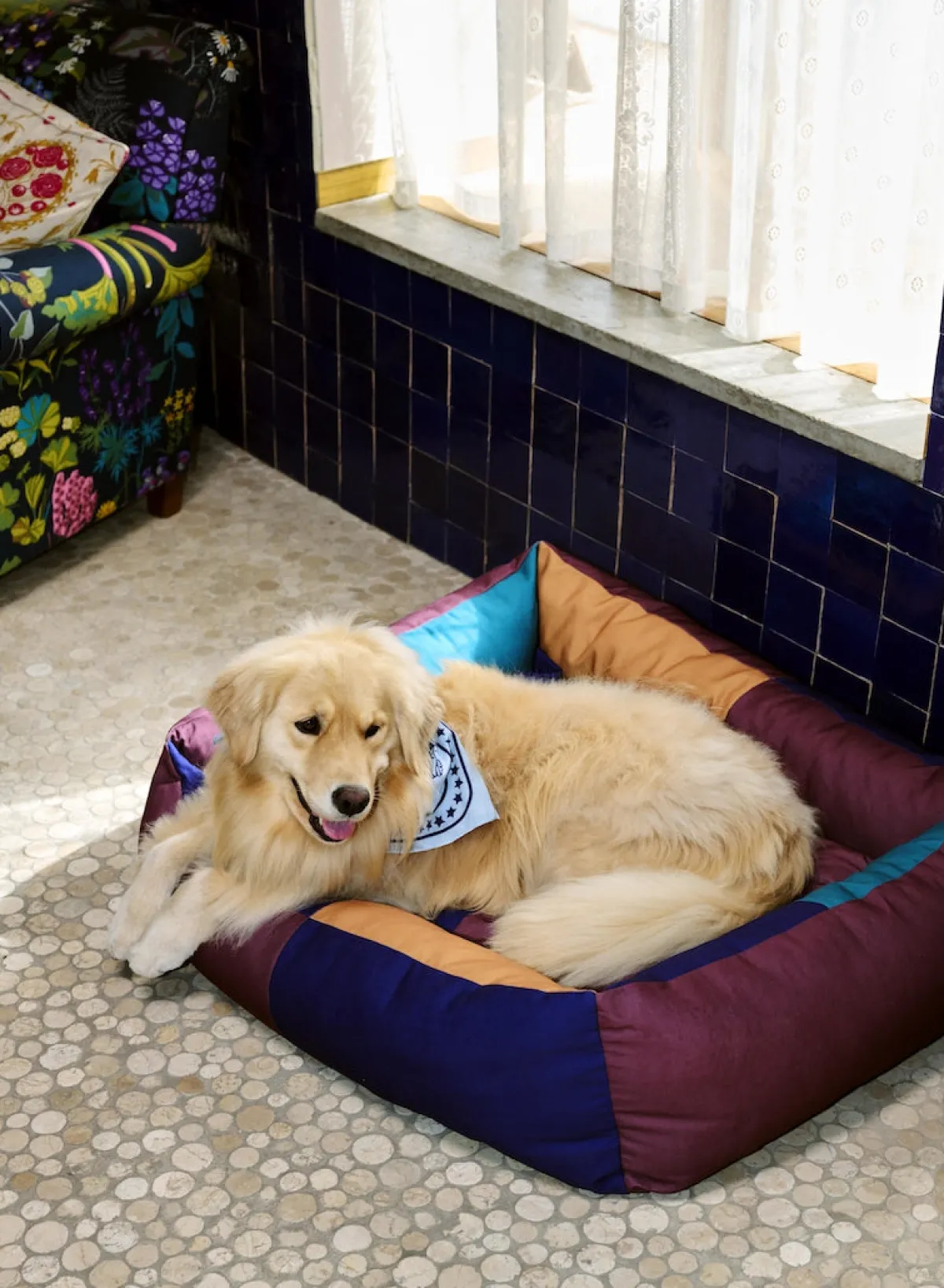 dogs_bed_large_0.webp SUSAN BIJL Dogs Bed, LARGE< Honden (En Katten)